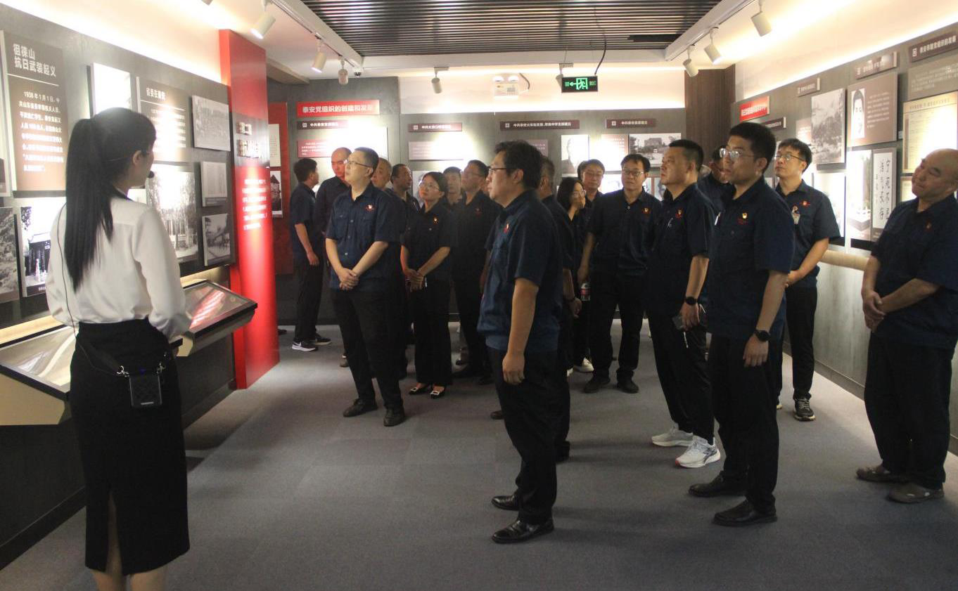 泰安五岳公司党委开展“不忘初心 牢记使命”主题党日活动